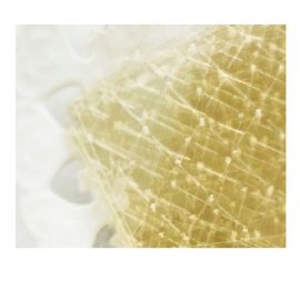 Colla di pesce 5 fogli